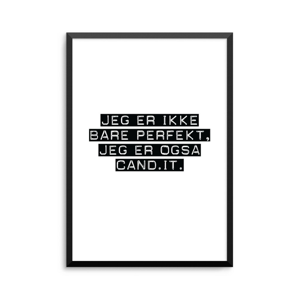 Plakat: Cand.it.