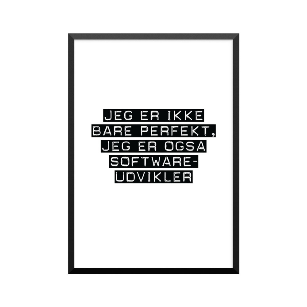 Plakat: Softwareudvikler