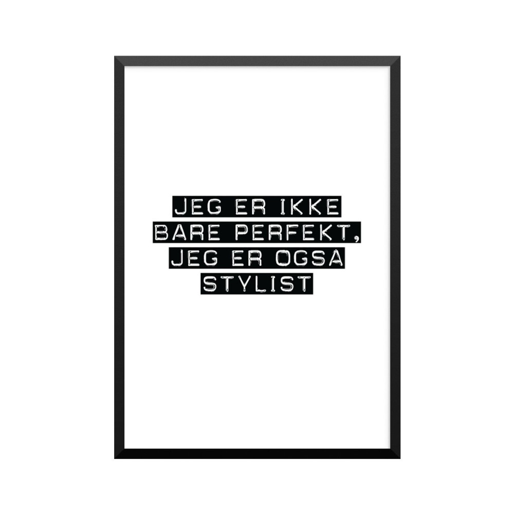 Plakat: Stylist