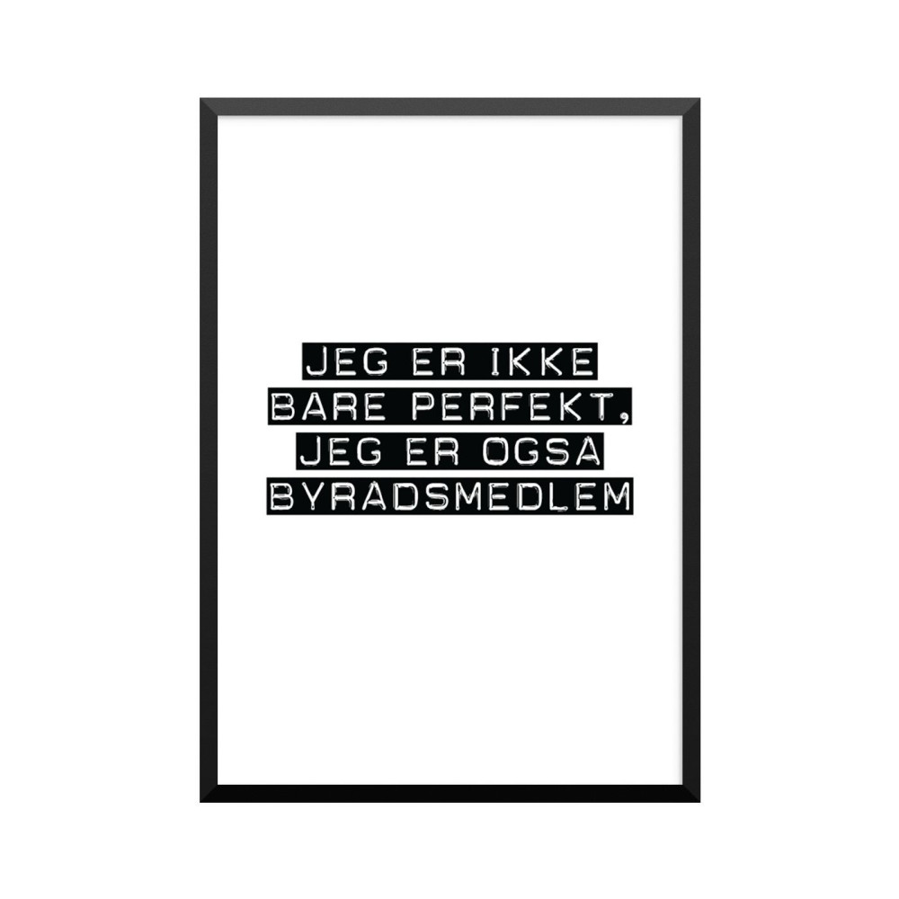 Plakat: Byrådsmedlem