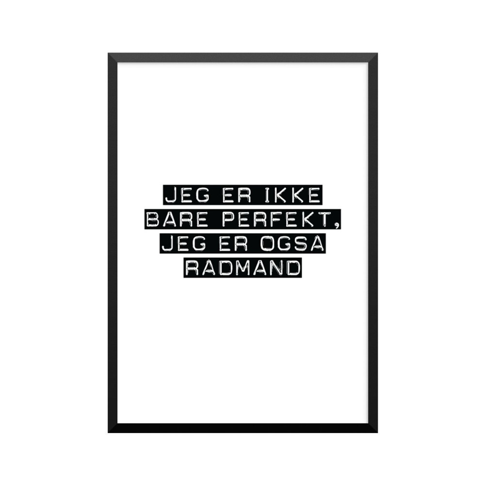 Plakat: Rådmand