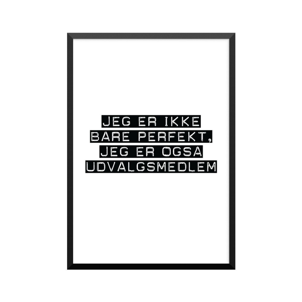 Plakat: Udvalgsmedlem