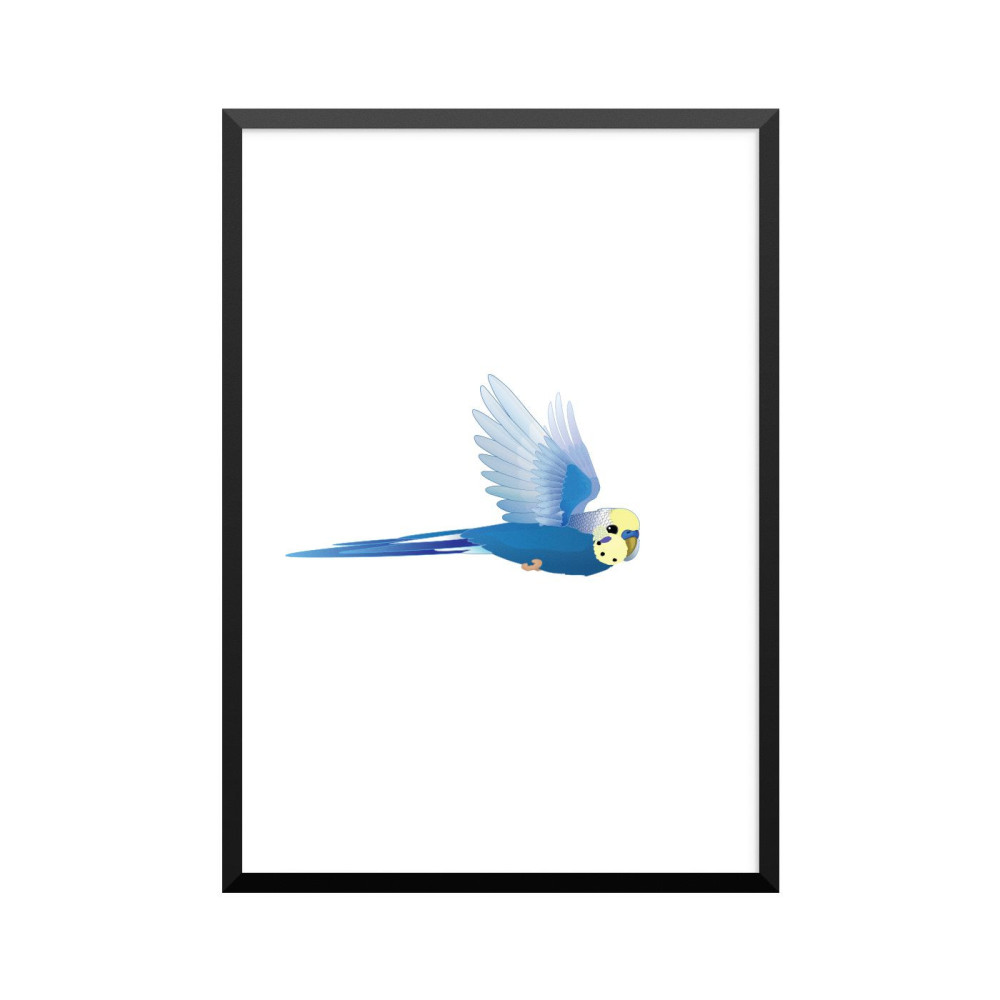 Plakat: Undulat, blå-gul