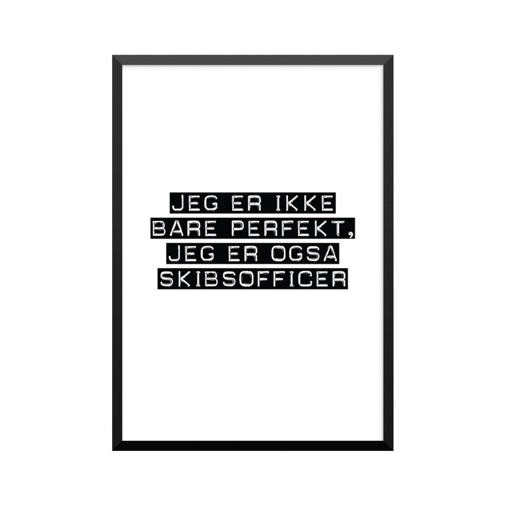 Plakat: Skibsofficer