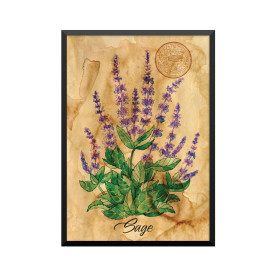 Plakat: Samiramay, 'Sage'