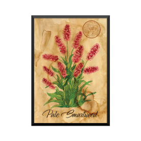 Plakat: Samiramay, 'Pale...