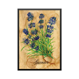 Plakat: Samiramay, 'Lavender'