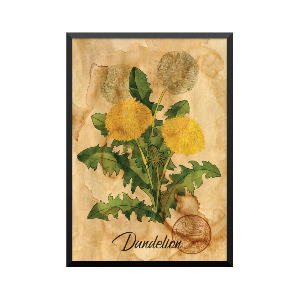 Plakat: Samiramay, 'Dandelion'