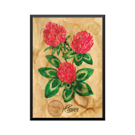 Plakat: Samiramay, 'Clover'