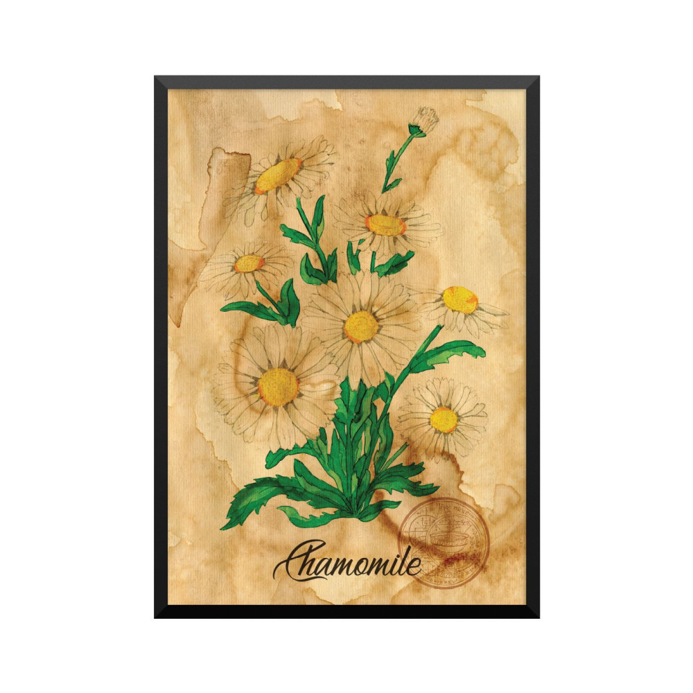 Plakat: Samiramay, 'Chamomile'