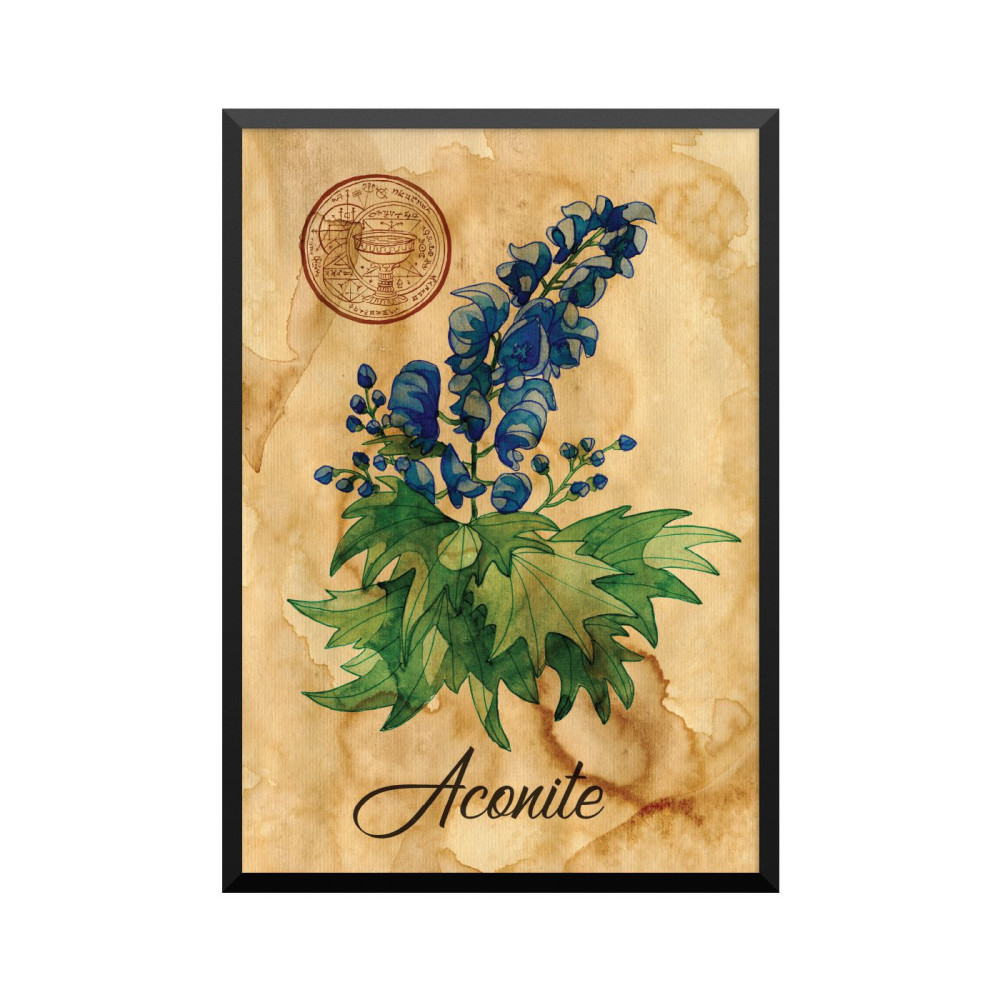 Plakat: Samiramay, 'Aconite'