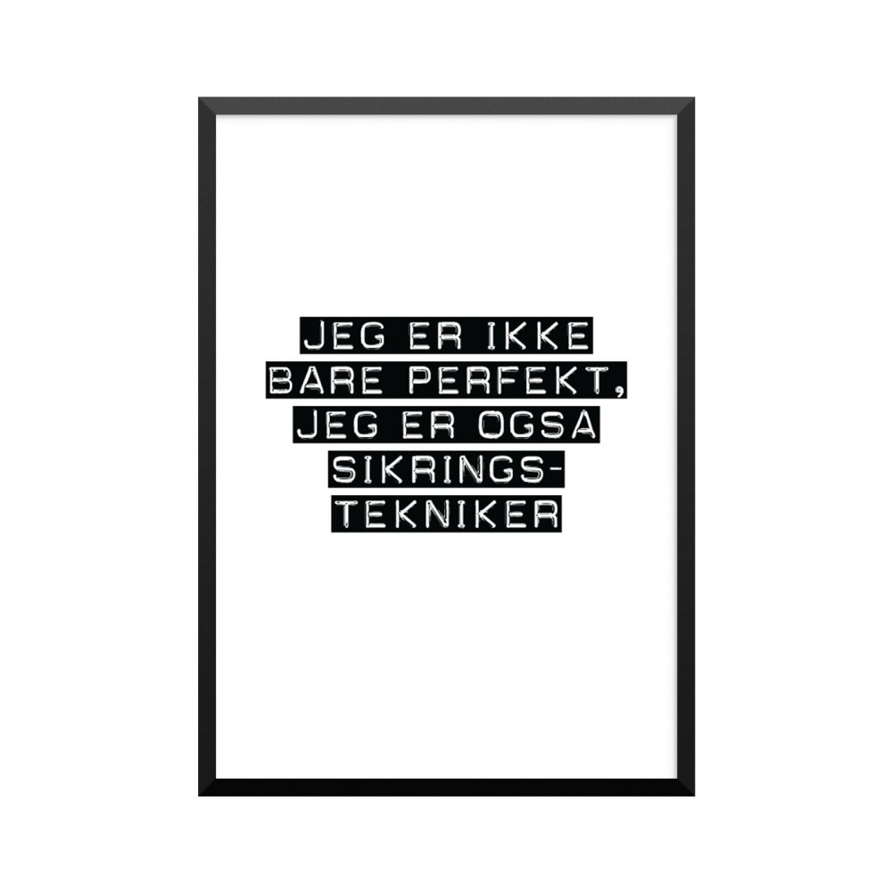 Plakat: Sikringstekniker