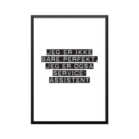 Plakat: Serviceassistent