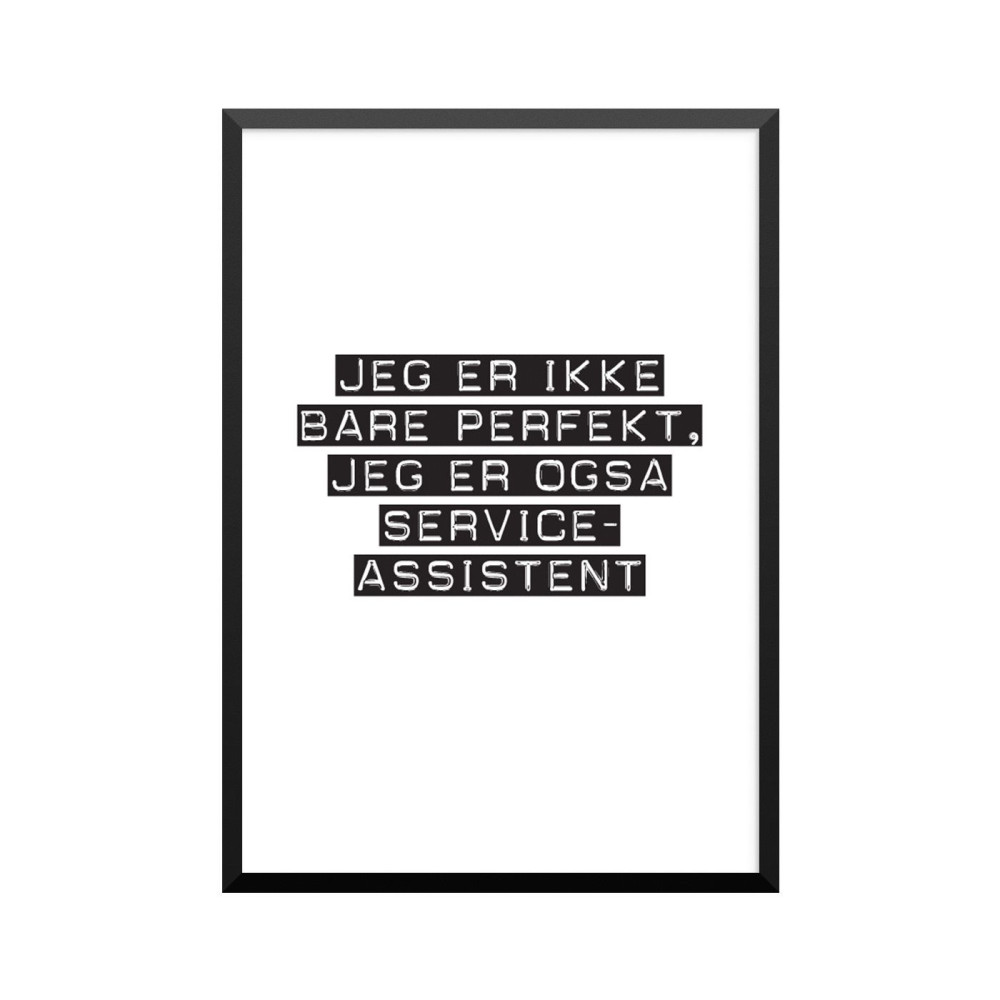 Plakat: Serviceassistent