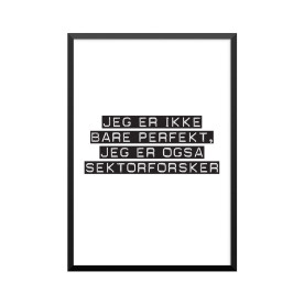 Plakat: Sektorforsker