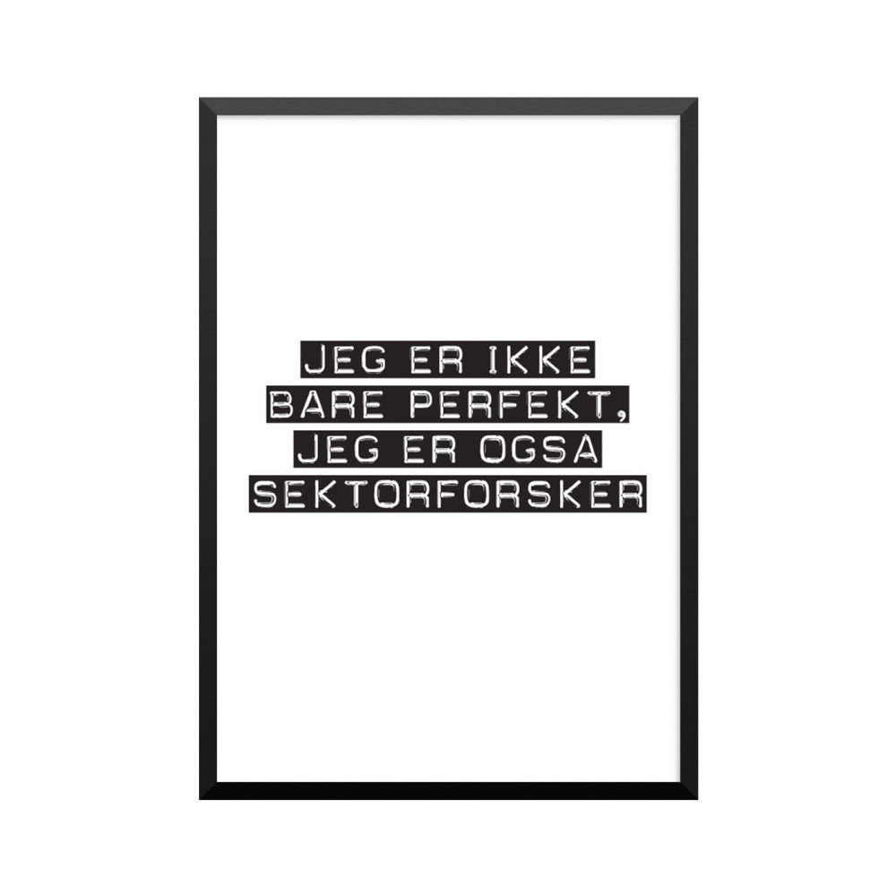 Plakat: Sektorforsker