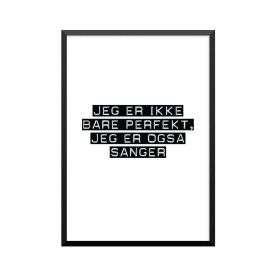 Plakat: Sanger