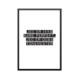 Plakat: Tonemester