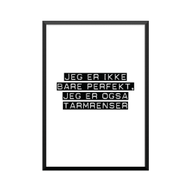 Plakat: Tarmrenser