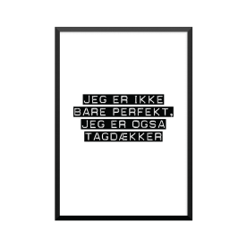 Plakat: Tagdækker