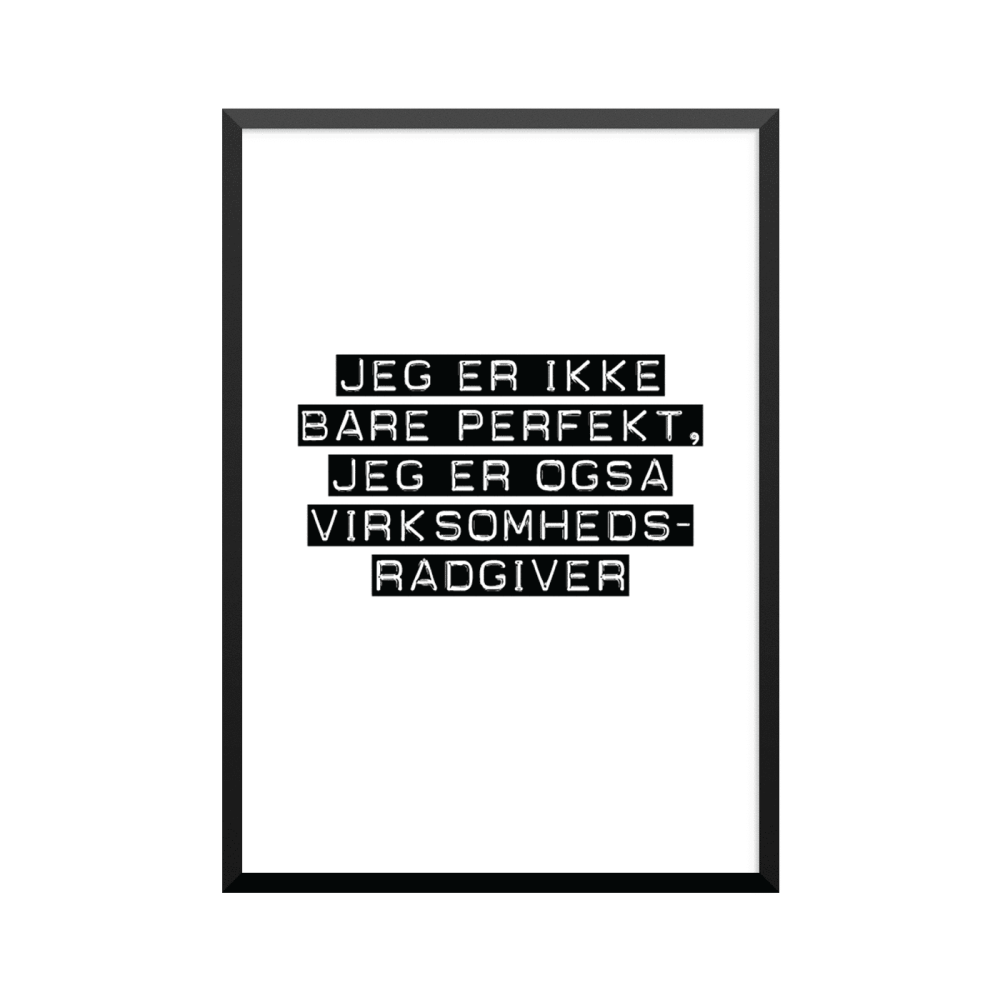 Plakat: Virksomhedsrådgiver