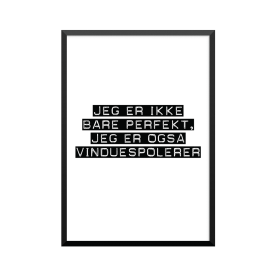 Plakat: Vinduespolerer