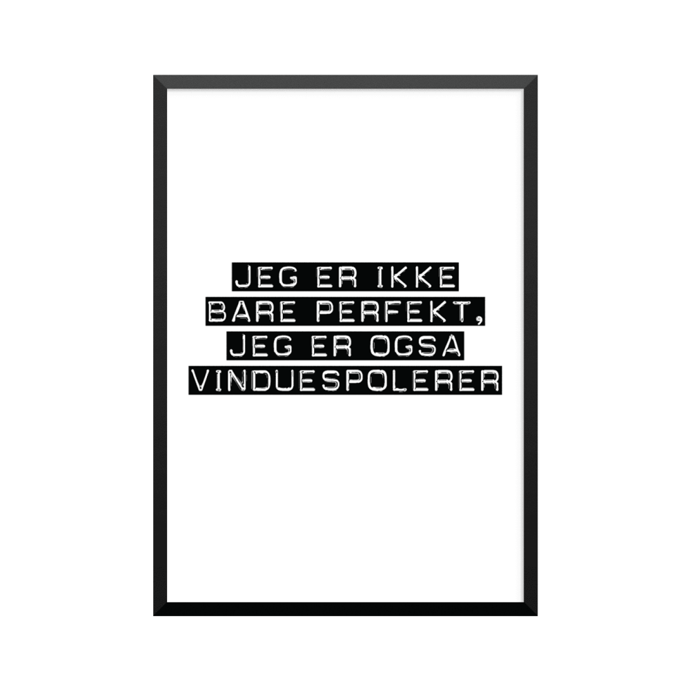 Plakat: Vinduespolerer