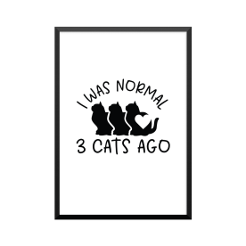 Plakat: 'I WAS NORMAL 3...