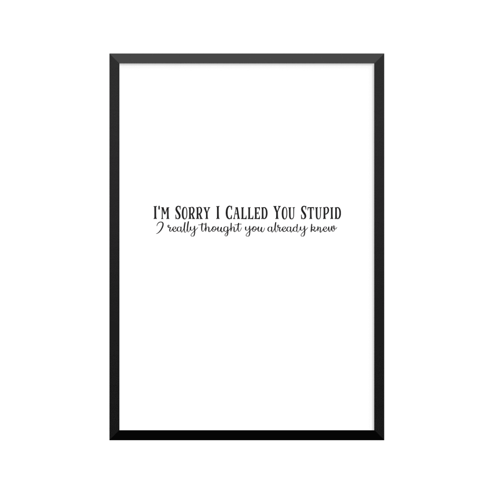 Plakat: 'I'M SORRY I CALLED YOU STUPID'