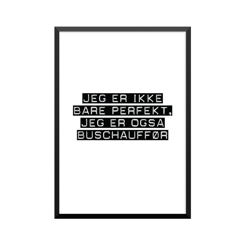 Plakat: Buschauffør