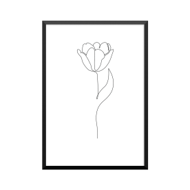 Plakat: Tulipan, one line