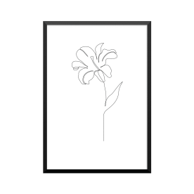 Plakat: Lilje, one line