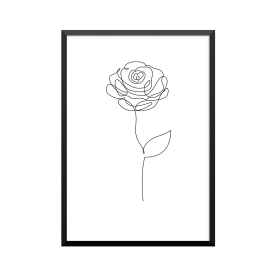 Plakat: Rose, one line