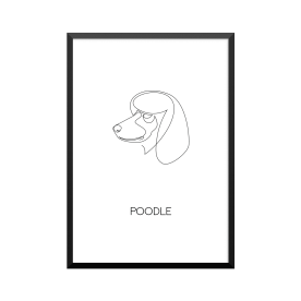 Plakat: 'POODLE', one line