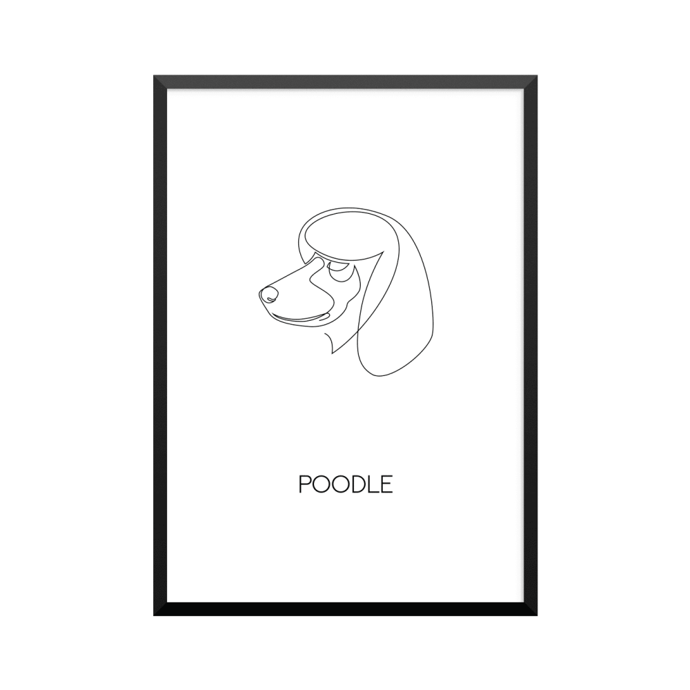 Plakat: 'POODLE', one line