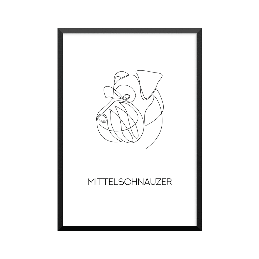 Plakat: 'MITTELSCHNAUZER', one line
