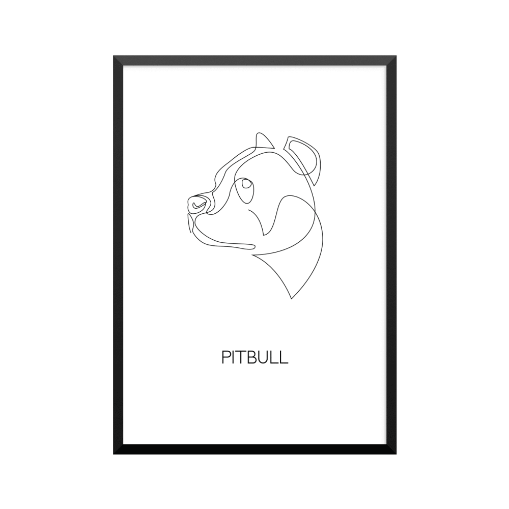 Plakat: 'PITBULL', one line