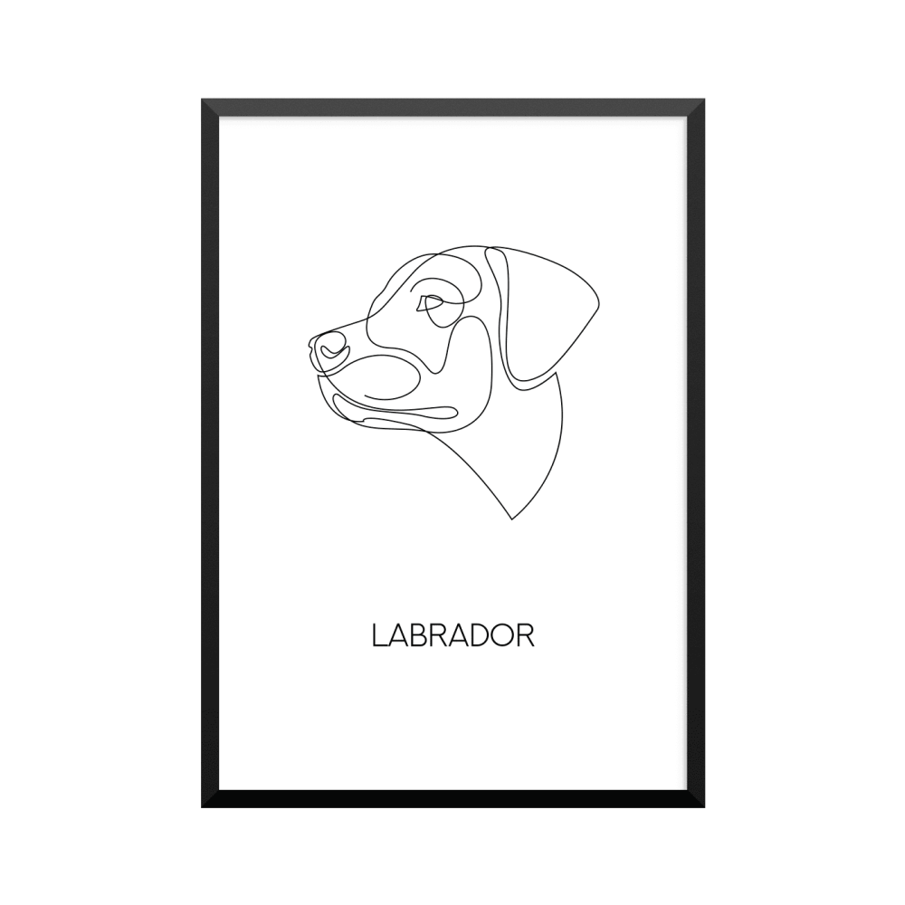 Plakat: 'LABRADOR', one line