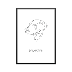 Plakat: 'DALMATIAN', one line