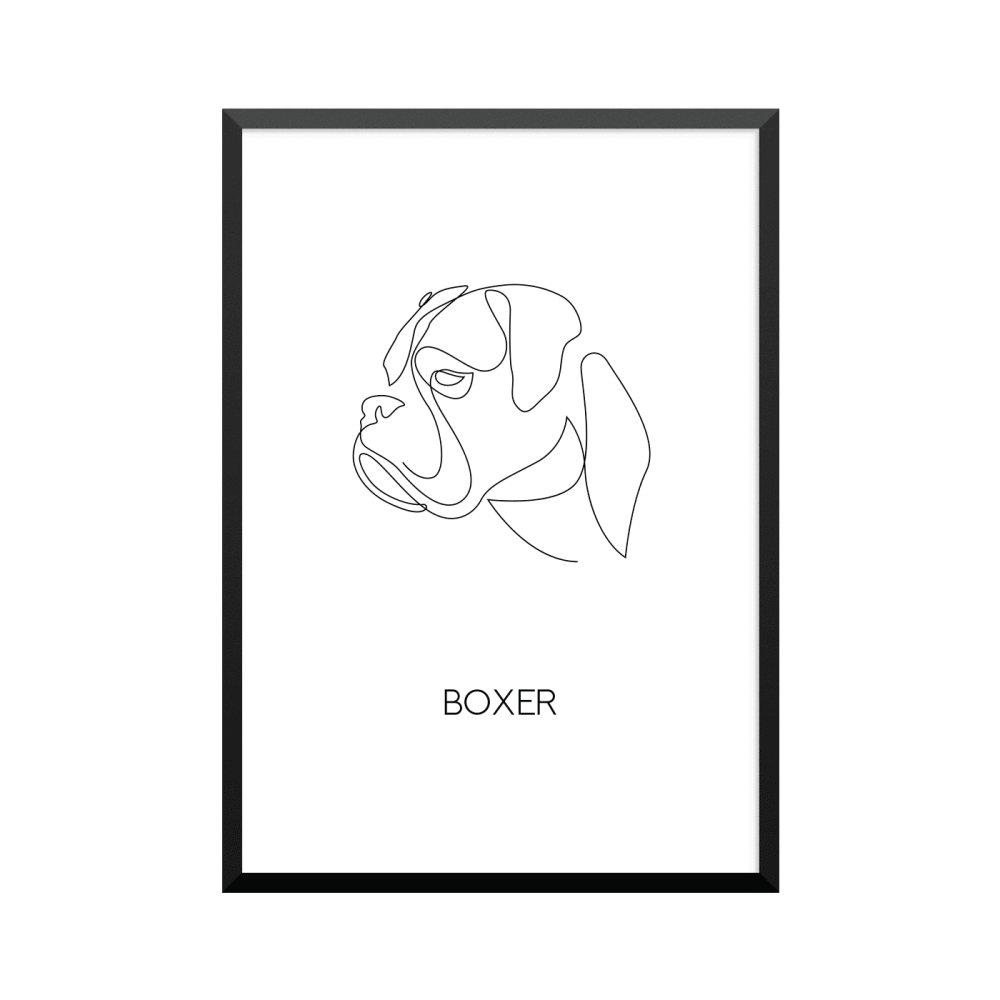 Plakat: 'BOXER', one line