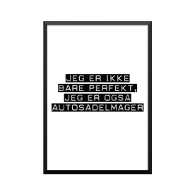 Plakat: Autosadelmager