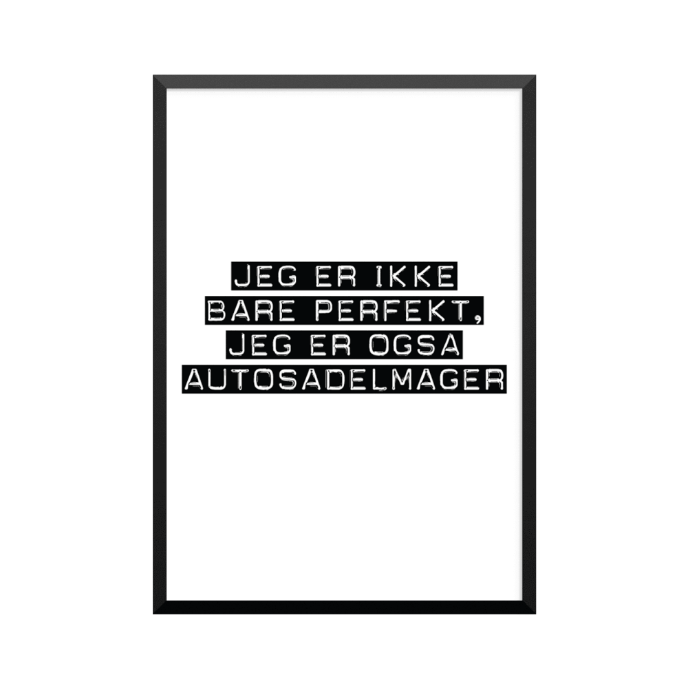 Plakat: Autosadelmager