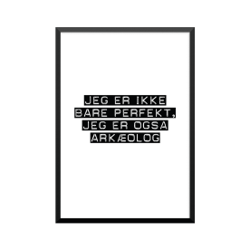 Plakat: Arkæolog