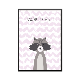 Plakat: Vaskebjørn, simpel