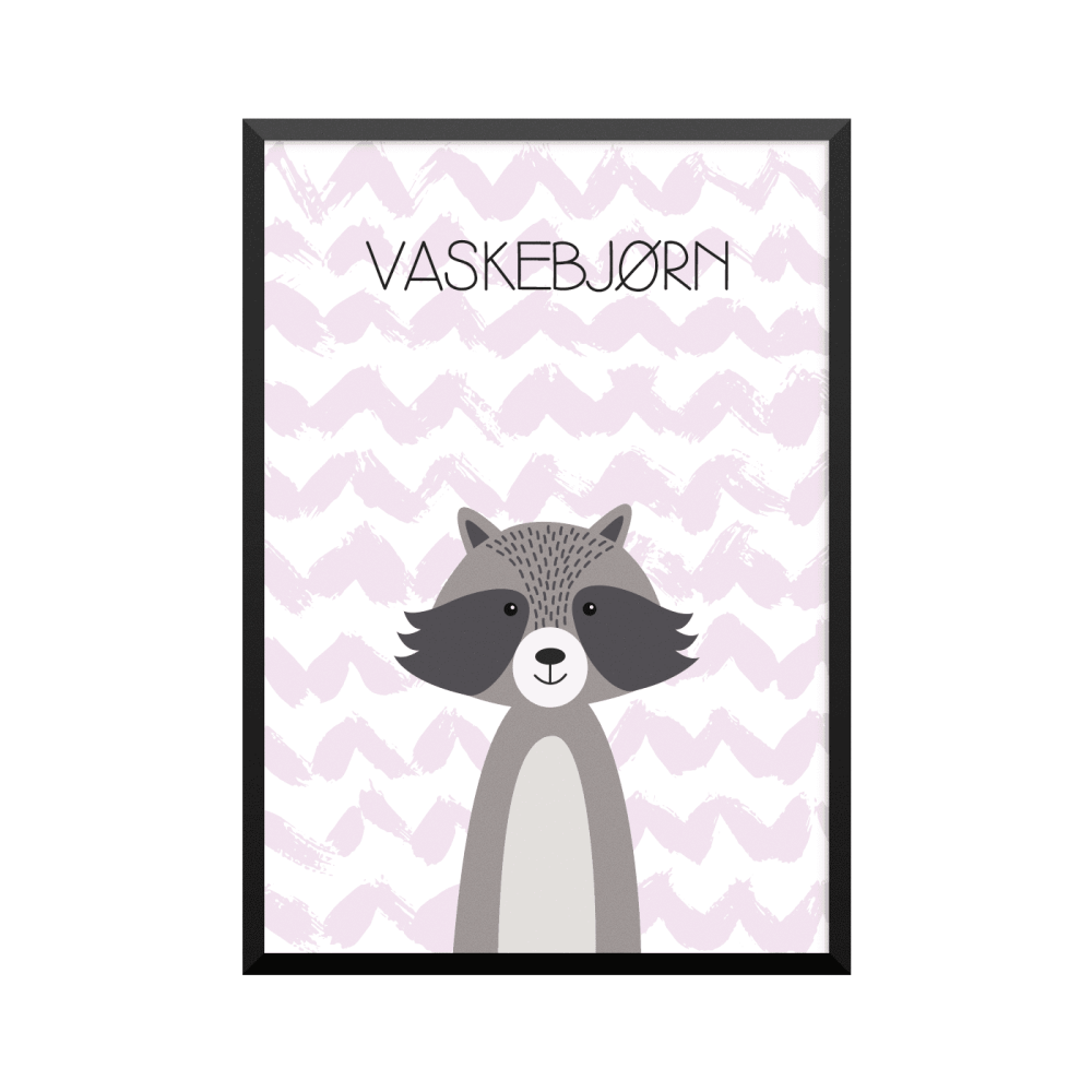 Plakat: Vaskebjørn, simpel