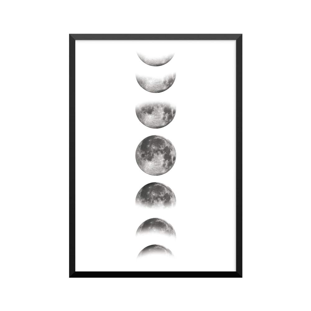 Plakat: Månefaser, hvid