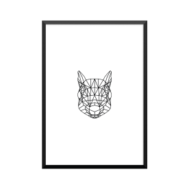 Plakat: Egern, animal...
