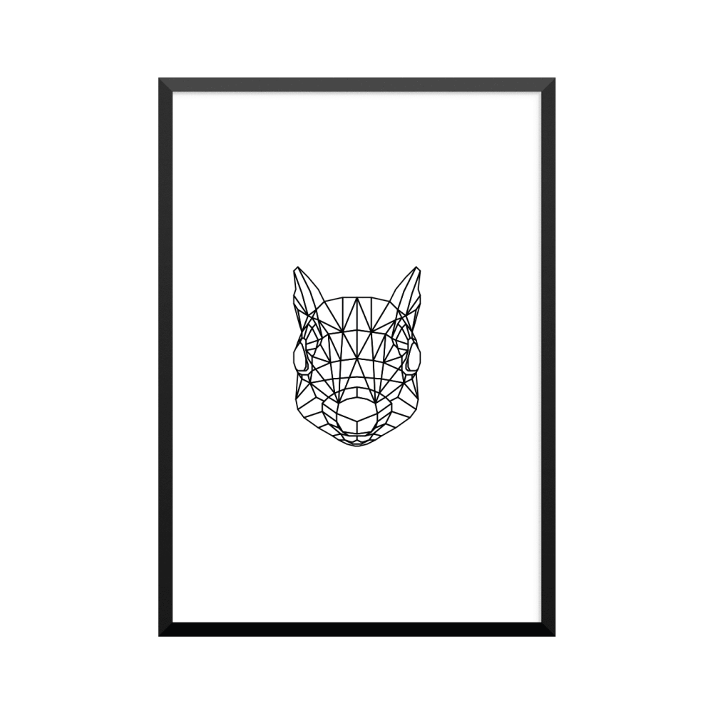 Plakat: Egern, animal collection