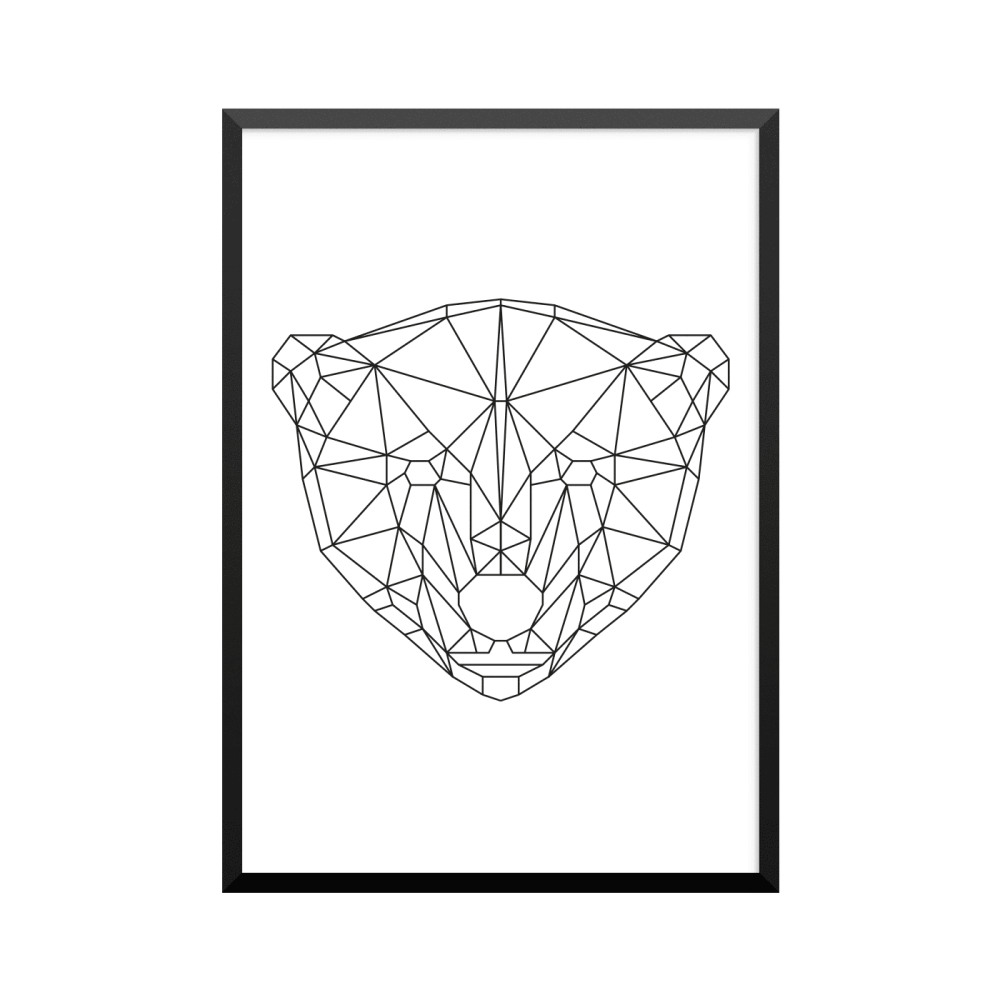 Plakat: Isbjørn, animal collection