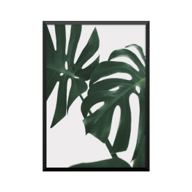 Plakat: 'Monstera' II
 Mål-50 x 70 cm Format-Stående